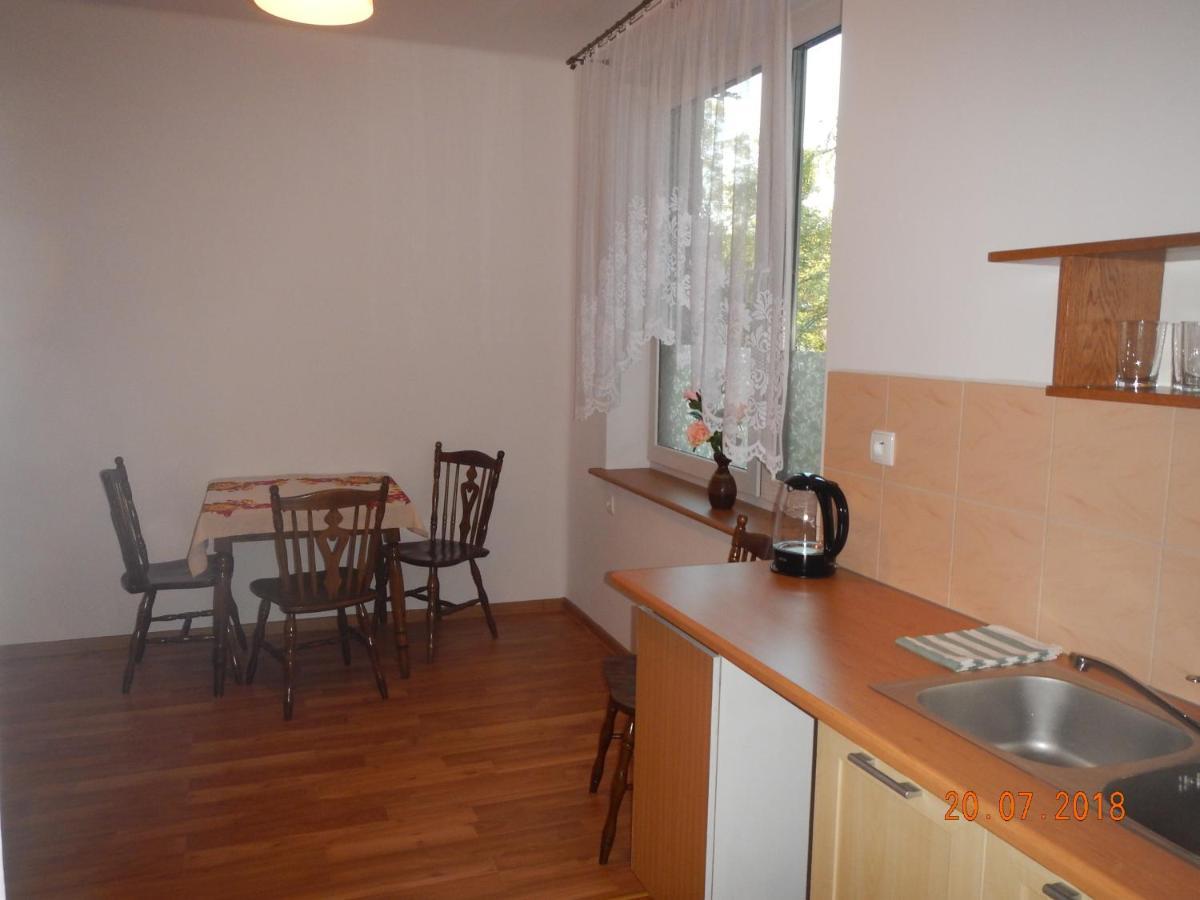 Apartament Providentia Zakopane Witkiewicza 3 Exterior photo