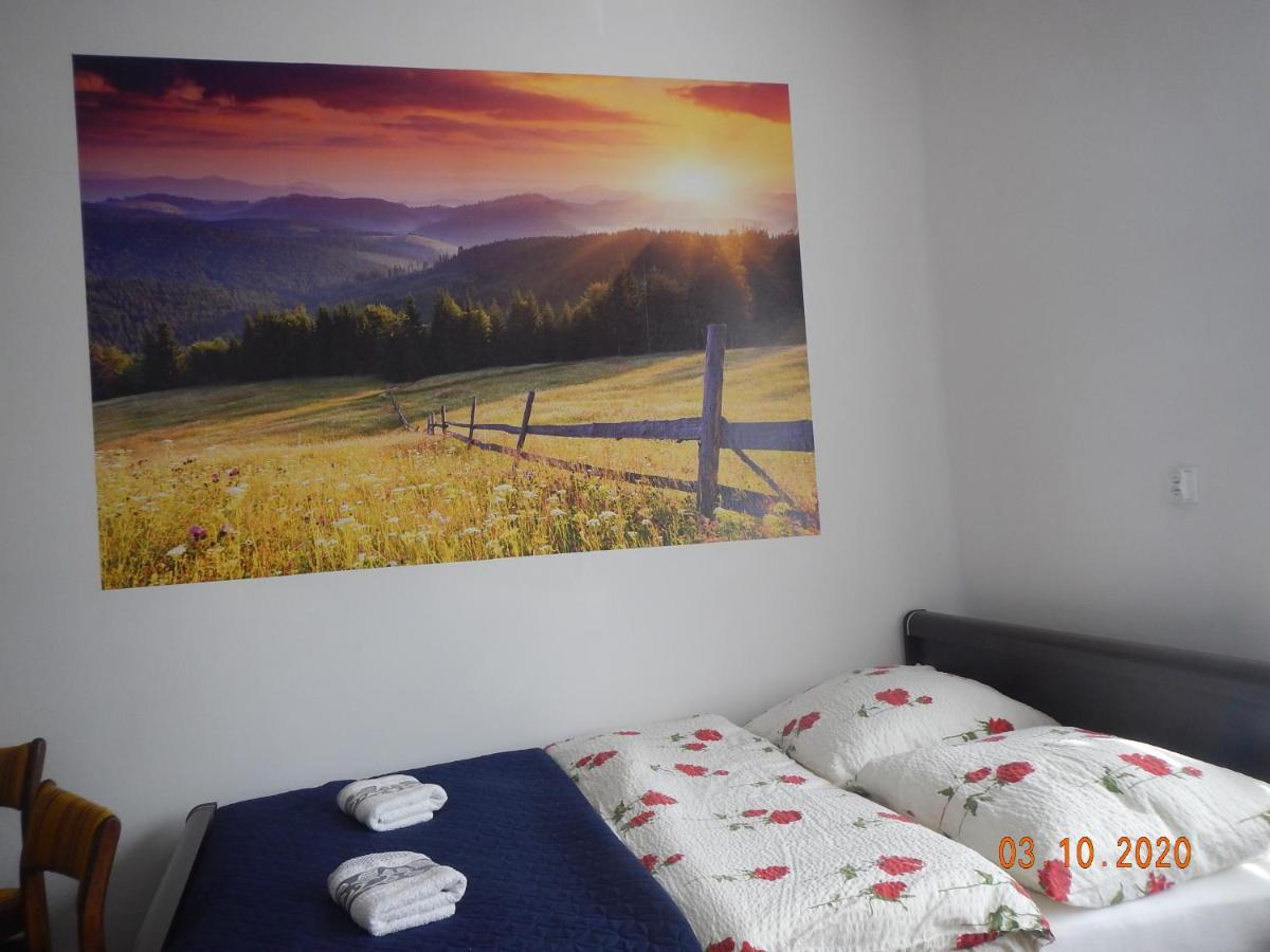 Apartament Providentia Zakopane Witkiewicza 3 Exterior photo