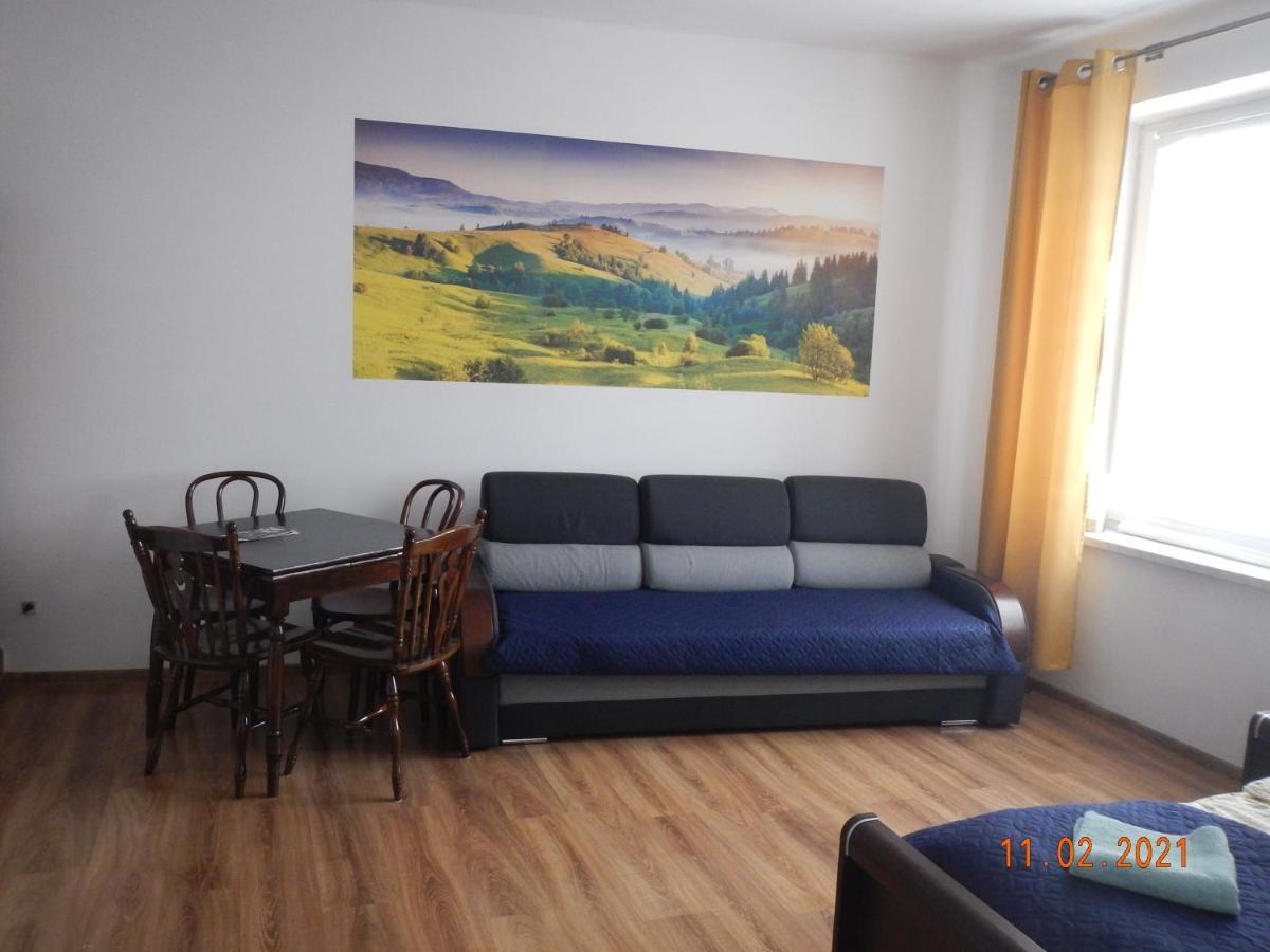 Apartament Providentia Zakopane Witkiewicza 3 Exterior photo