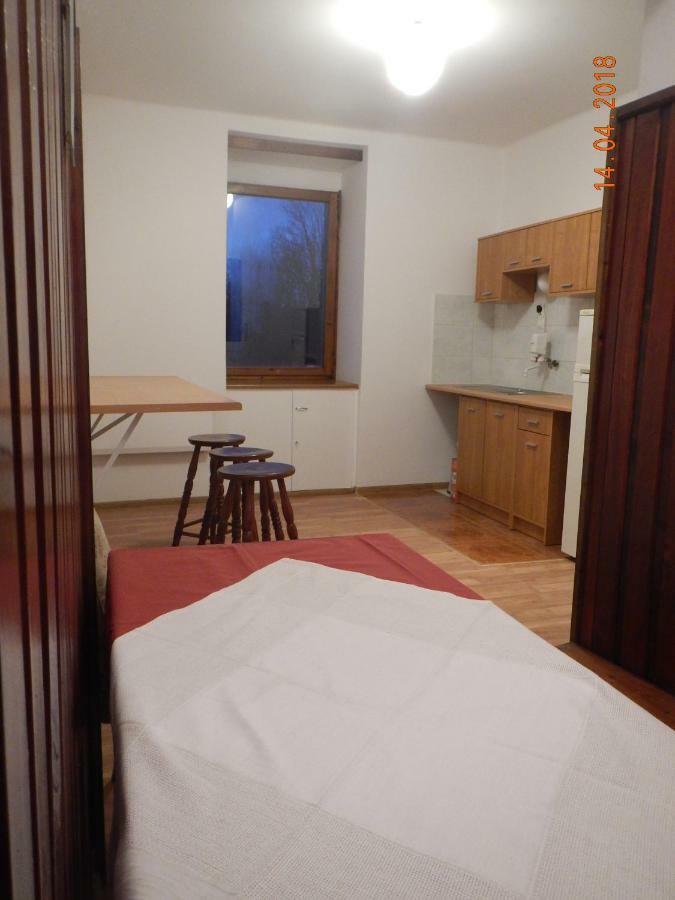 Apartament Providentia Zakopane Witkiewicza 3 Exterior photo